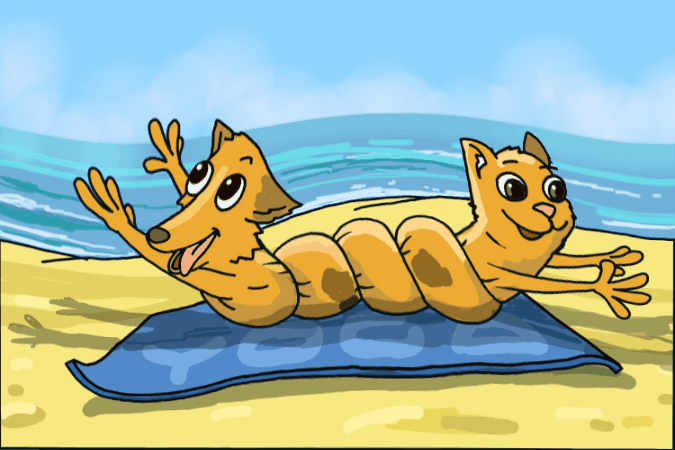 Beach Adventure