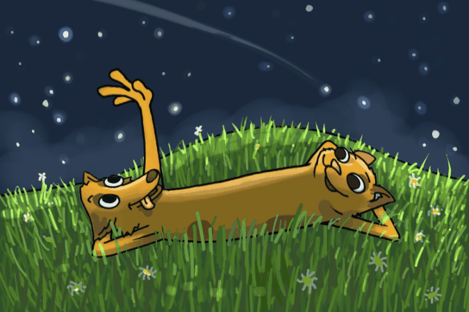 Starry Night